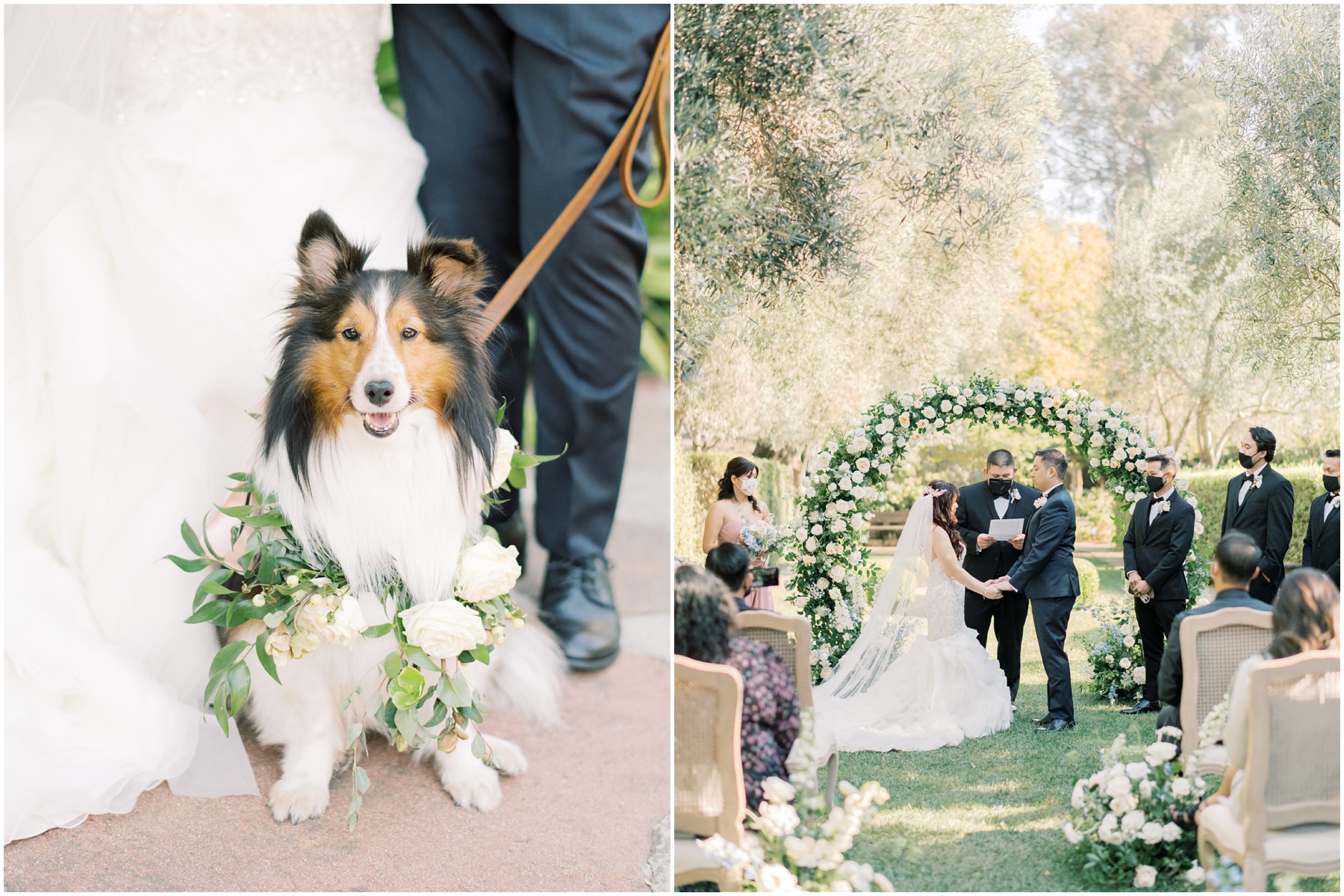 allied arts guild wedding with cute dog